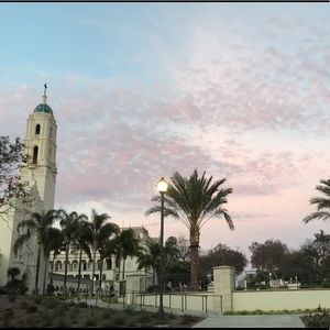 Meet your Posher, Will